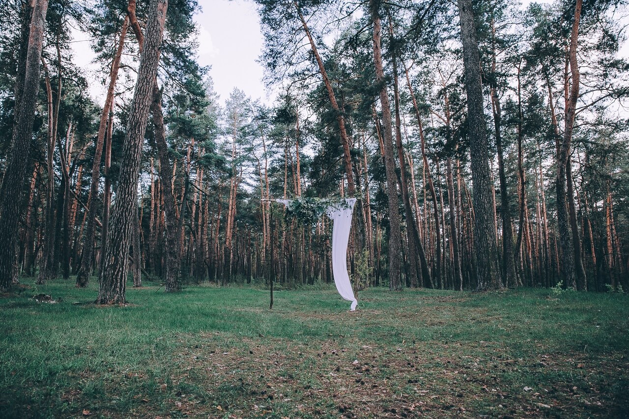 Место проведения свадьбы в лесу